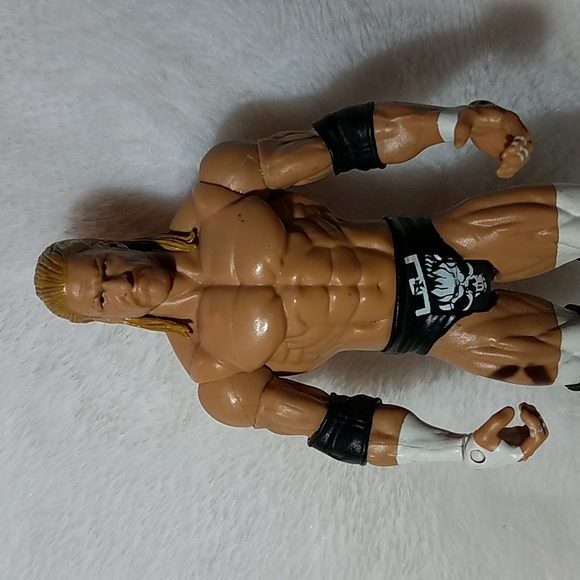 WWE 2010 Triple H, Action Figure - Picture 2 of 9